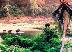 インディ ジョーンズ 魔宮の伝説 あらすじ ネタバレ と感想 登場人物やキャスト 吹き替えをした声優 無料で見る方法 をご紹介 シネマ エレメント