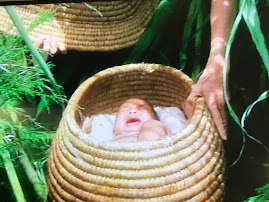 籠に入った泣いてる赤ちゃん